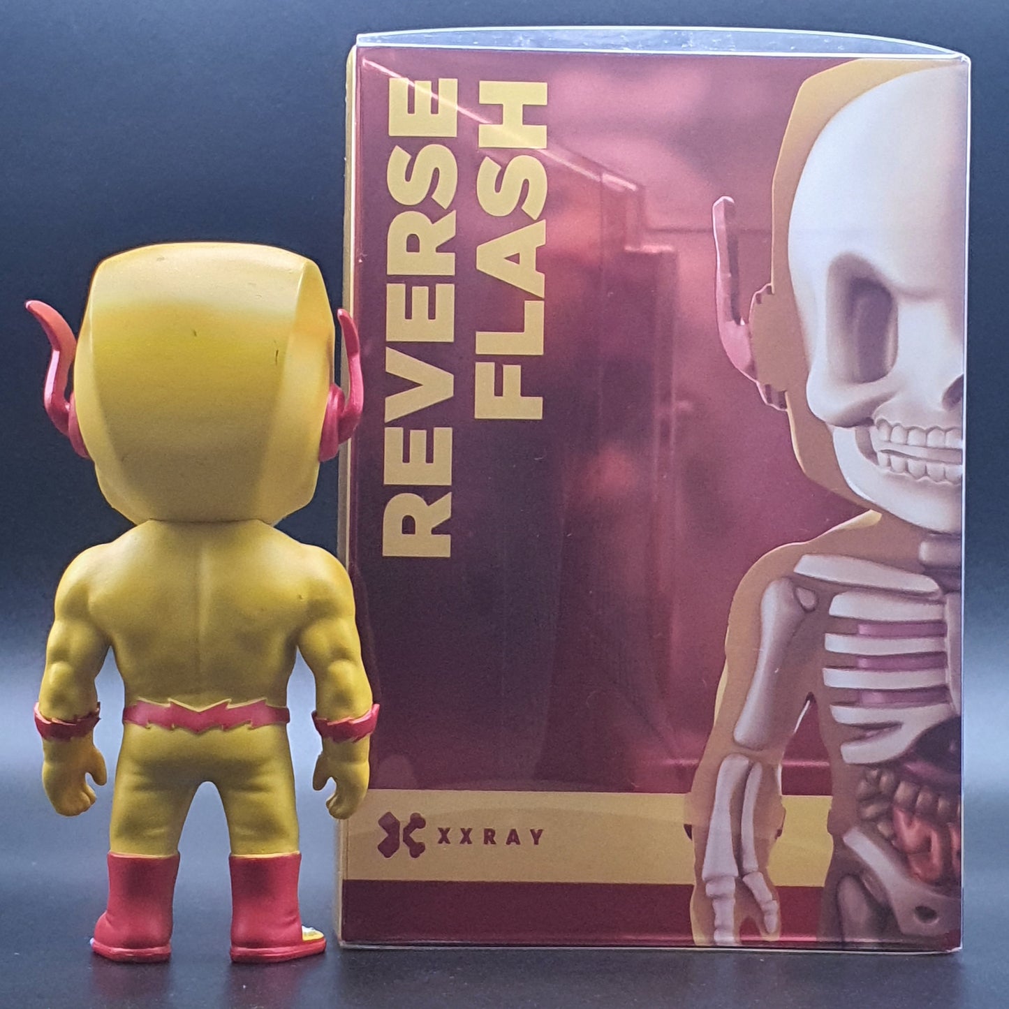 XXRAY Reverse Flash (DC#18)