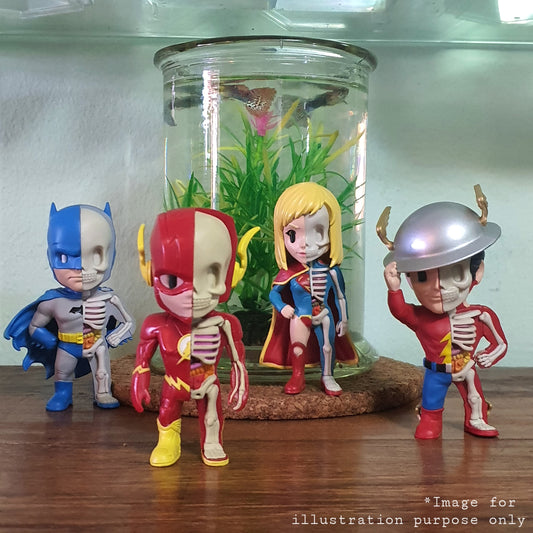XXRAY DC Loose Figures #10 (Set Of 4) - Without Boxes